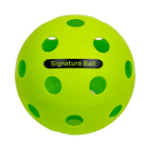 The PPa Giant Pickleball