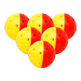 GAMMA Outdoor Training Pickleballs